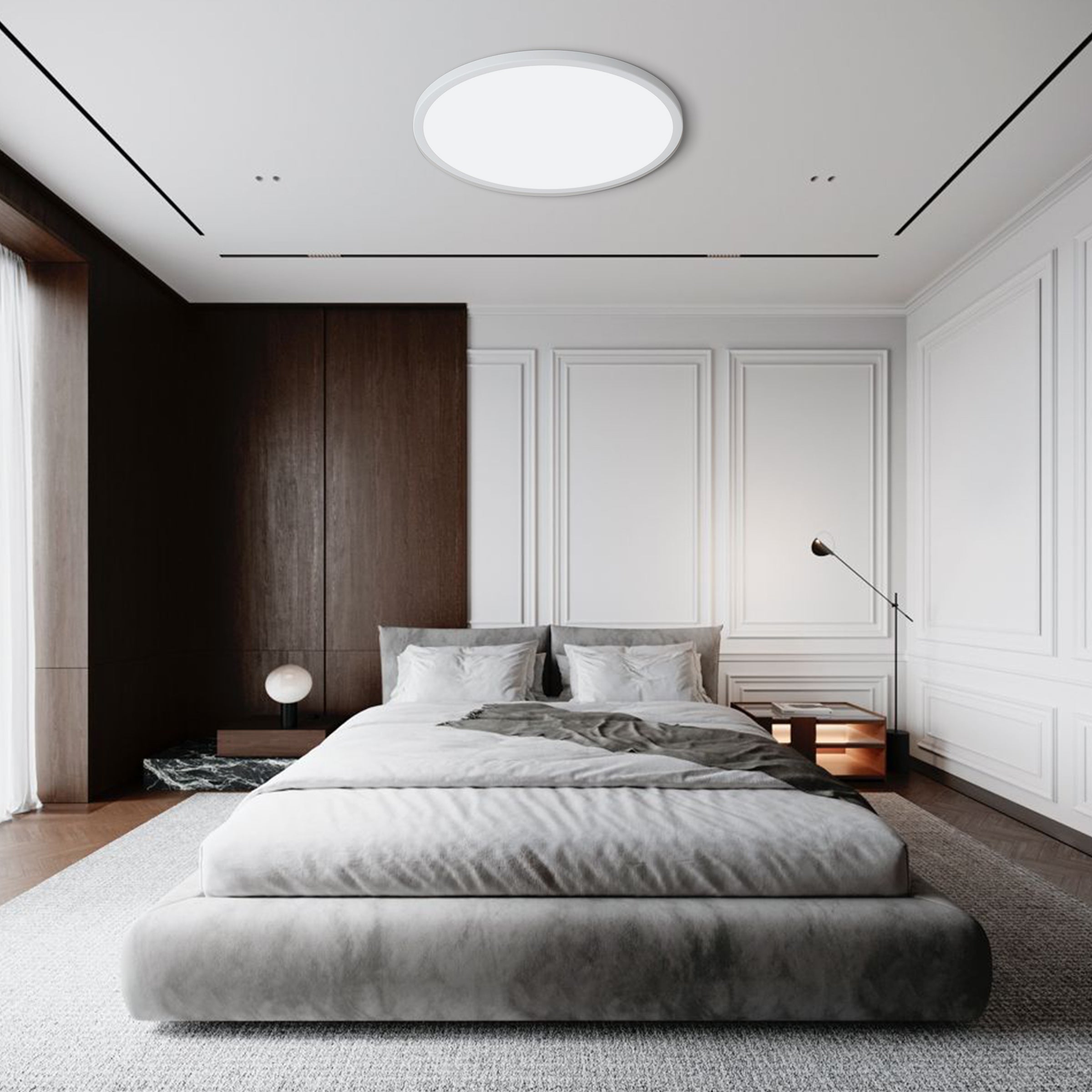 Smart Ceiling Light CEL49X