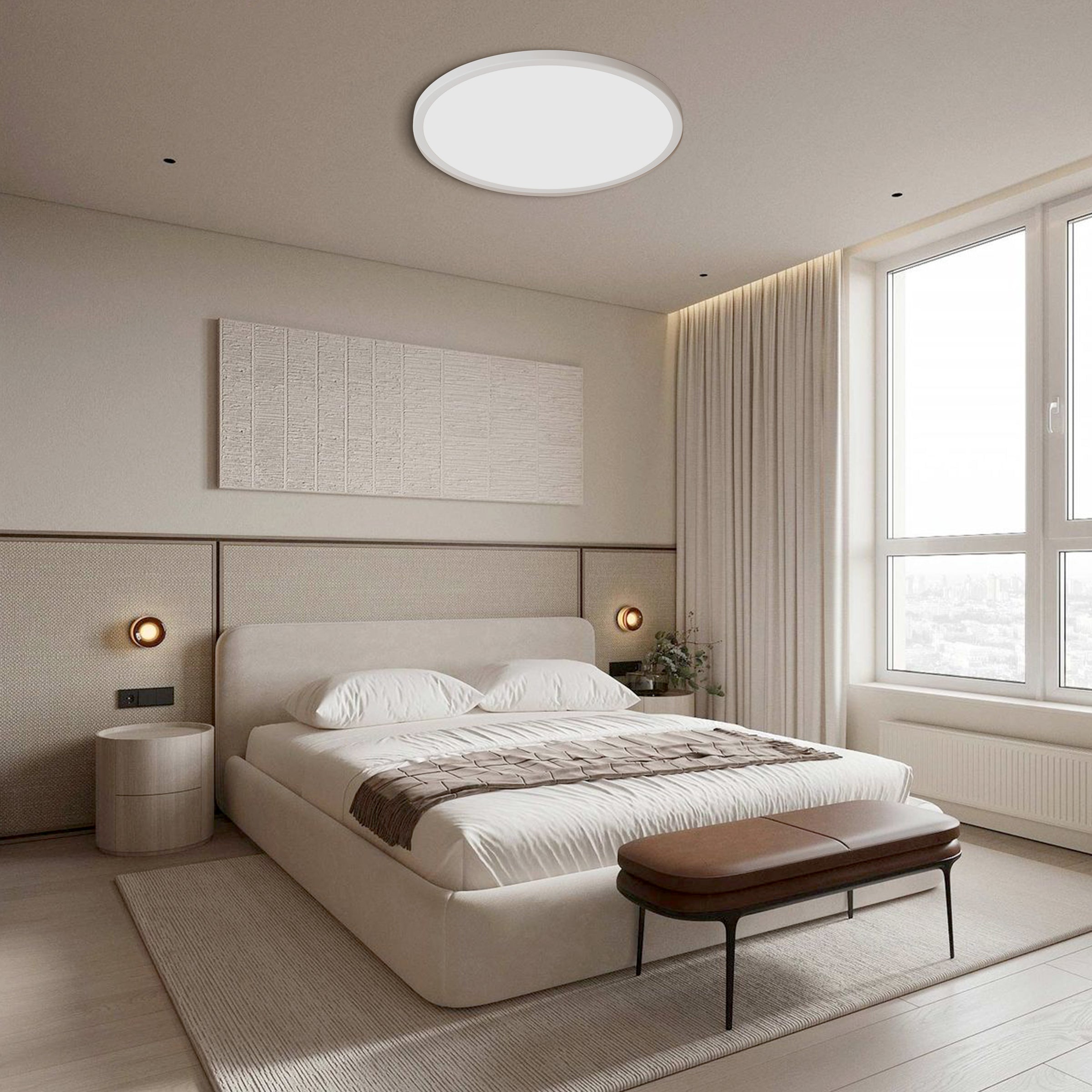 Smart Ceiling Light CEL49X