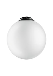 Belt Light White S02X