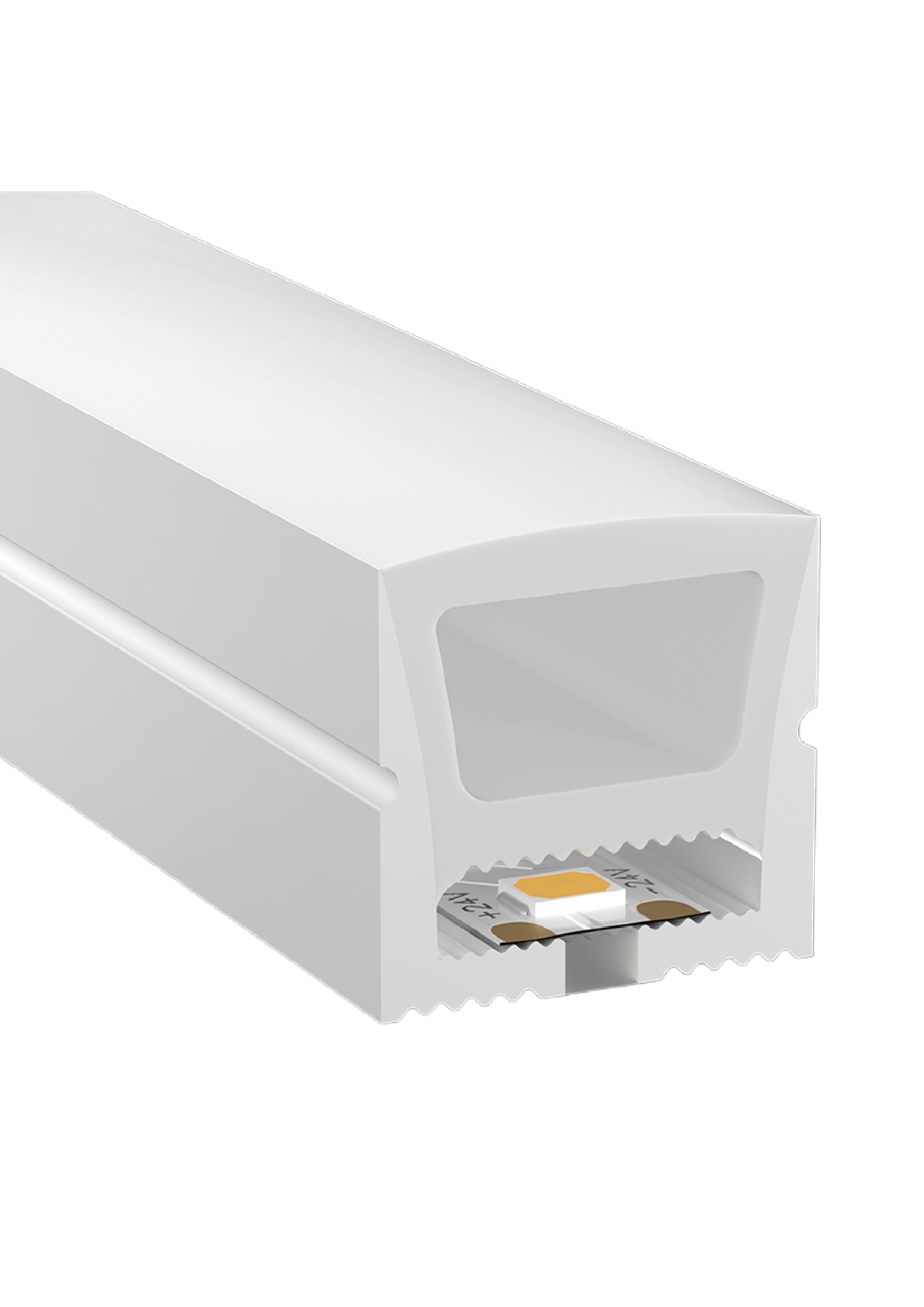 Neon Flexy - STR423 STR424