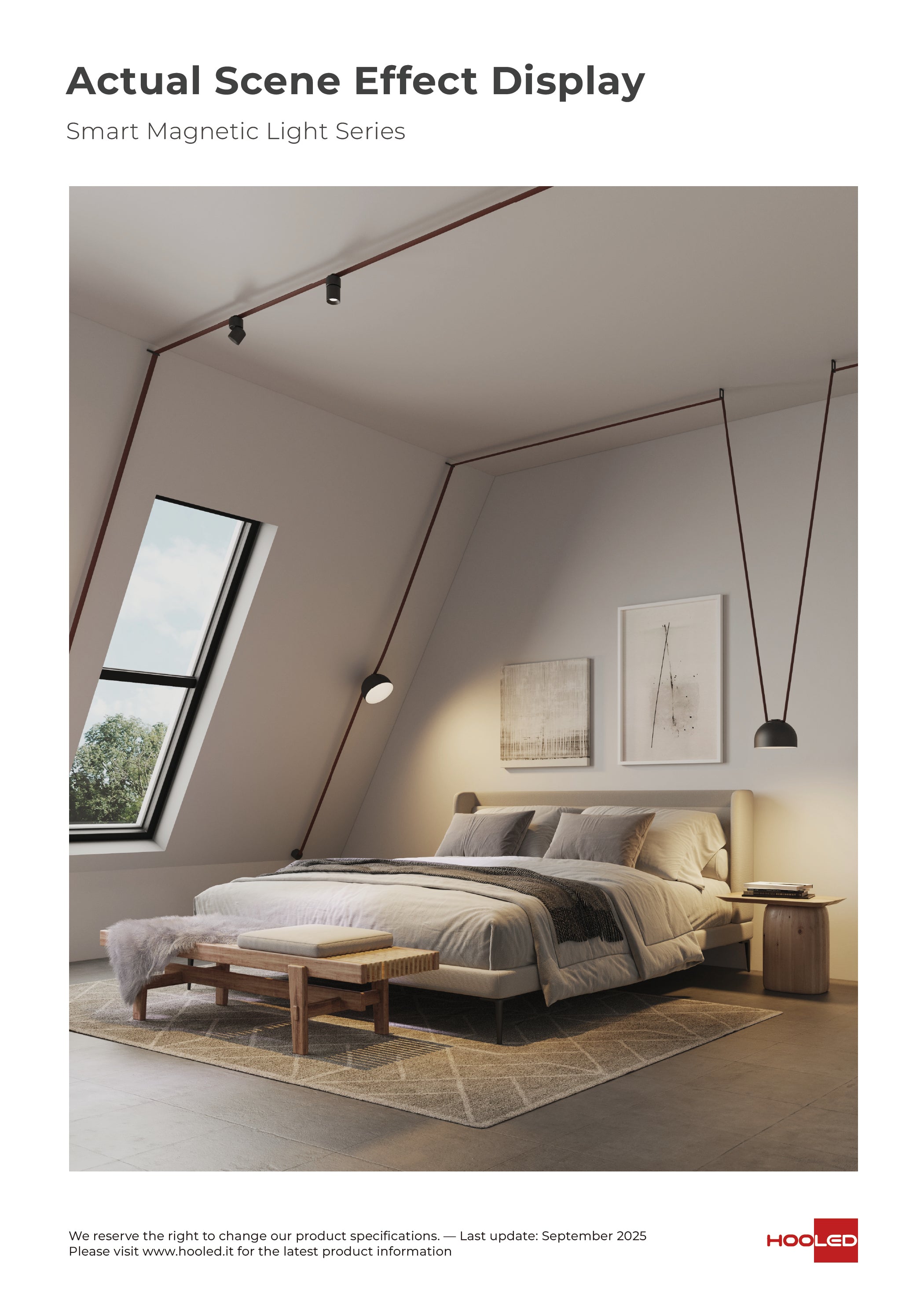 Belt Light  Black SU2X